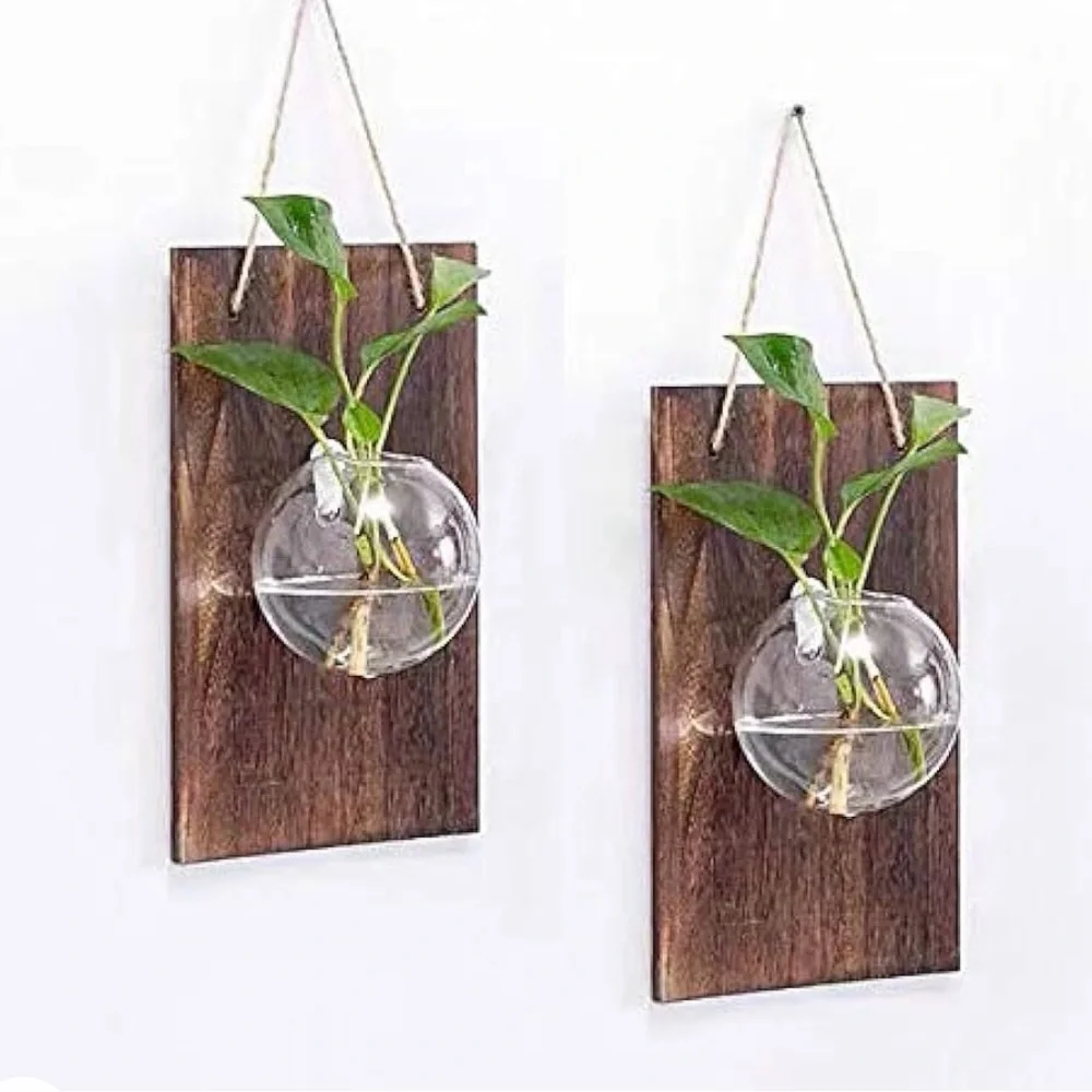 air Plant terrarium